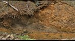 Harpers Formation exposed at Glasscock Gap, Virginia (Outdoor Lab)