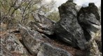 Outcrop of Weverton Formation quartzite atop Biscuit Mountain, Pond Mountains (South of Thoroughfare Gap), Virginia