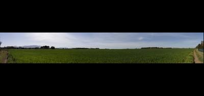 127834-400x189