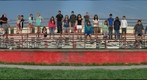 Class 1A Dichotomous Keys