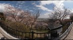 宮城県:石巻市:日和山
