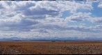 Panorama from Alberta Highway 5