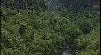 Little River Canyon - Near Fort Payne, Alabama - From Wolf Creek Overlook