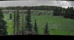 After The Wallow Fire