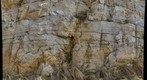 Tuscarora Sandstone exposed at Hanging Rock Anticline, West Virginia
