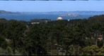 San Francisco Bay from the Presidio