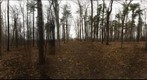 Dairy Bush GigaPan - 190 – April 24 2013