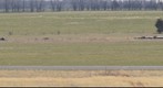 DC3s at the Rolla Missouri airport