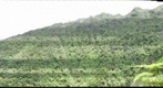 South Helemano.Photopoint#1