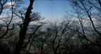 Mount Tsukuba clearing (dark)