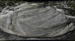 Kink banding in Laurel Formation of Rock Creek Shear Zone, Broad Branch, Washington, DC
