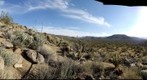 Anzo Cactus Sunset 3D-360 RIGHT side