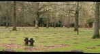 German World War I Cemetary in Belgium