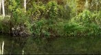 Panoramica Verde