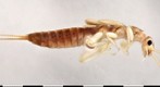 4x_project_allocapnia_4_4_2013_14_30_32