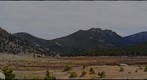 Elk in RMNP spring 2013