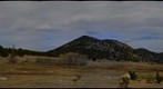 Elk in RMNP spring 2013 4