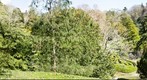 Easter Holiday - Eden Project - Panorama 02
