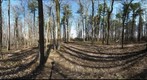 Dairy Bush GigaPan - 191 – May 01 2013