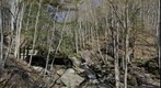 Pine Creek