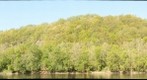 Point Pleasant Bridge at River Country