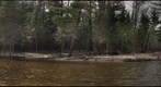 Boardman River below (former) Brownbridge Dam