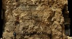 Ordovician Oneota Dolomite 1