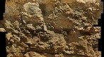 Ordovician Oneota Dolomite 2