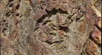 Confusion Hill detail shot 2