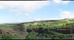 Base of Waimea Canyon
