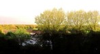 View from home 2