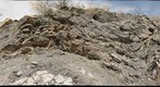 Cristo Rey: Mesilla Valley Formation - folds