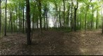 Dairy Bush GigaPan - 192 – May 08 2013
