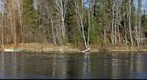 Fishing at Sillikers