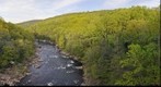 Ohiophylle State Park, Youghiogheny River 