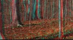 Carpenter Woods Anaglyph