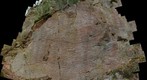Baraboo Quartzite - Vertical Ripple Bed