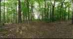 Dairy Bush GigaPan - 193 – May 14 2013