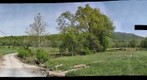 Passage Creek NOT in flood