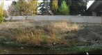 Guadalupe River upstream of Woz Way
