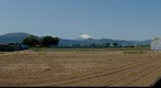 Before rice planting