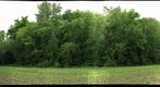 Hunnicutt Restoration, May 2013