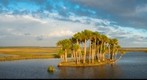 Ecolockhatchee River Delta