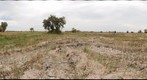 2013-05-18_GigaPan_03_AITfield