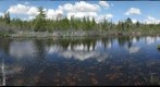 Cedar River at Cedar, MI