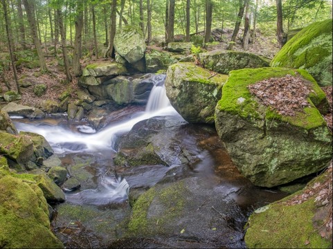 Falls of Bicknell Brook