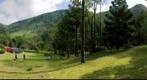 goncalves - pedra do forno