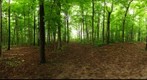 Dairy Bush GigaPan - 194 – May 22 2013