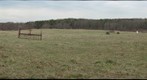 Peterson Farm Sheep Pasture (Falmouth, MA)