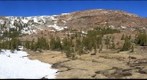 Hillside Opposite Tioga Lake, Inyo National Forest